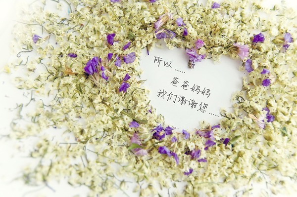 合格父母考級(jí)