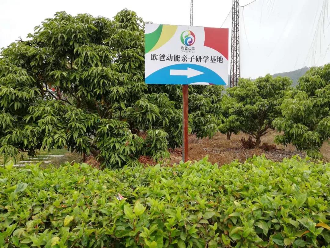 歐爸動(dòng)能