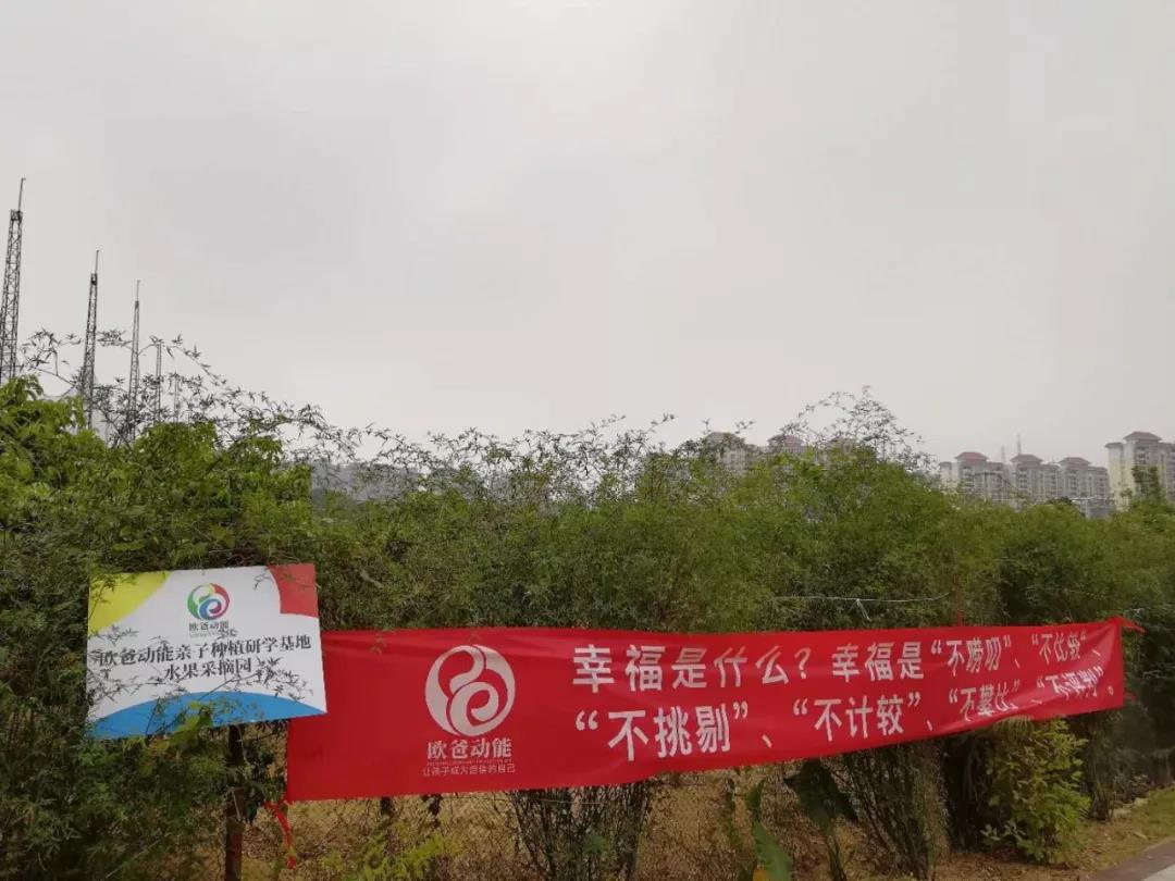 歐爸動(dòng)能