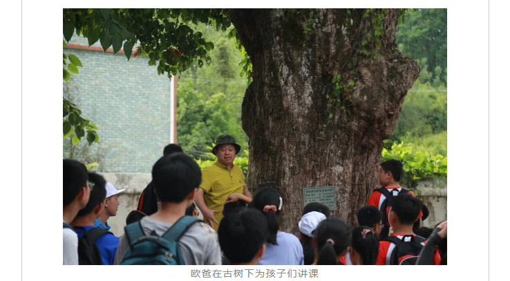  歐爸在大學(xué)期間立志從事家庭教育行業(yè)，先后歷經(jīng)知識教育、能力教育、動力教育、動能教育、動能幸福系統(tǒng)教育等五代家庭教育。
